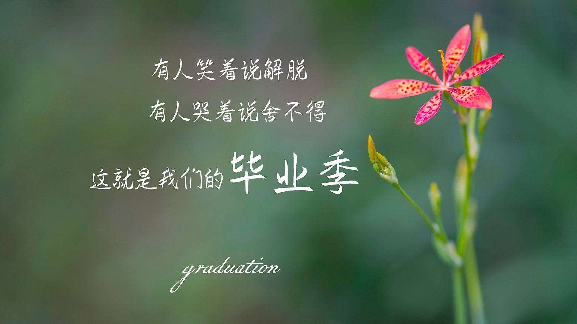 《福布斯》：荷兰女足在预选赛中与法国队激战，荷兰女足咋样
