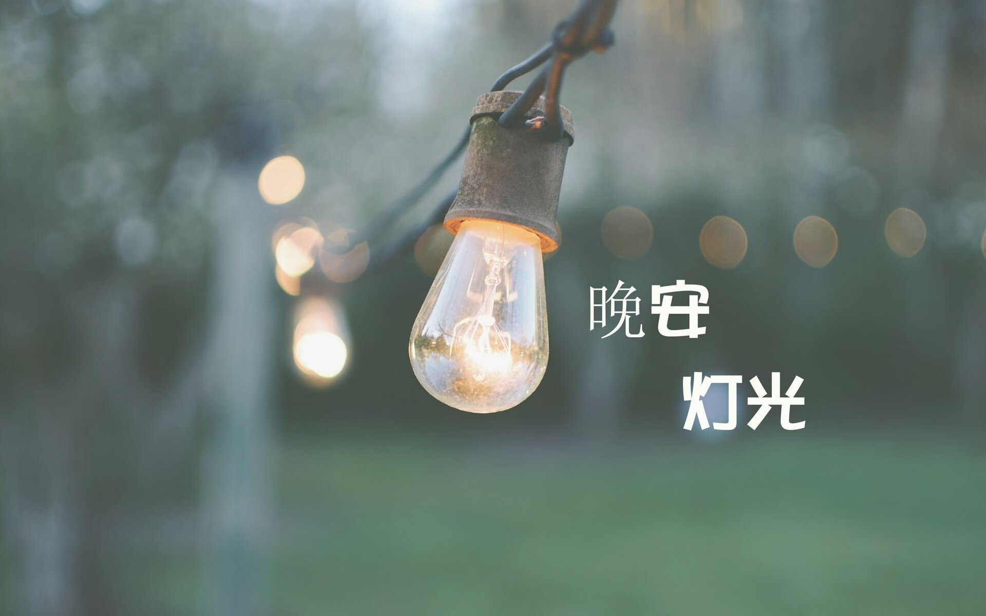 意大利马术协会与非洲马术协会开展技术援助项目，提升当地水平。