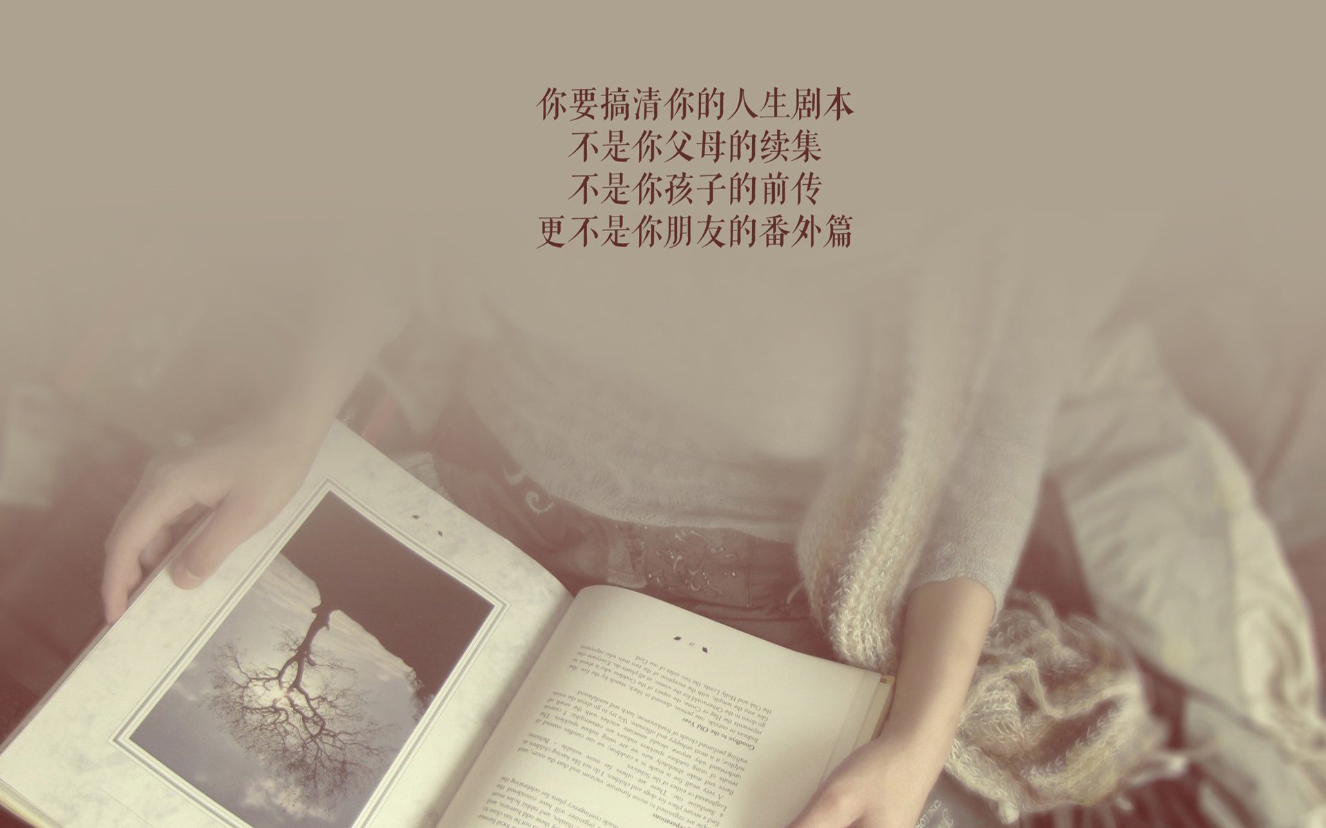 泰国马术协会设立“Lamb”奖学金，支持传统马术研究。，泰国公主马术比赛