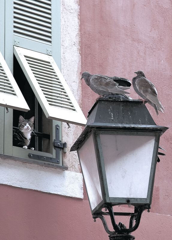 开云体育APP下载-中国男篮提升应对高压逼抢的技术细节