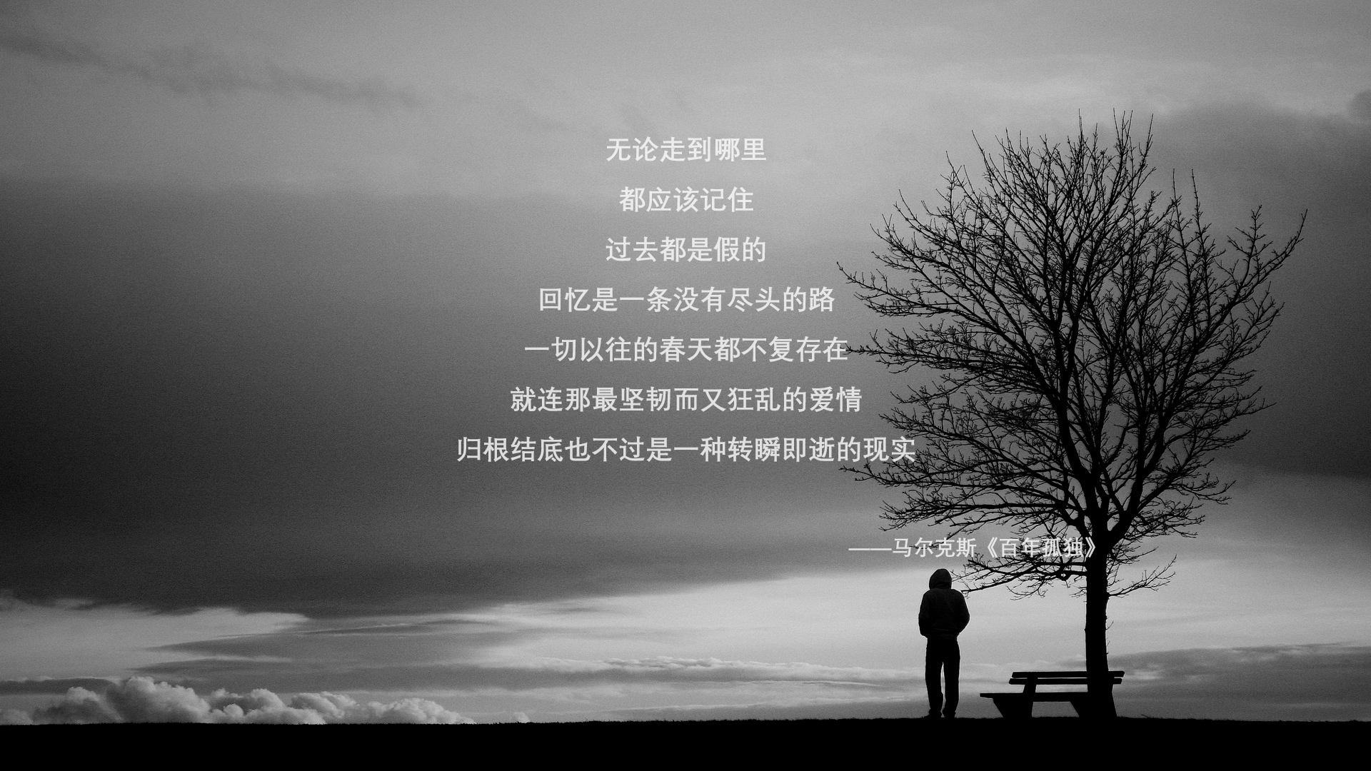 体育新闻中心协办全国体育数字内容应用大会，体育数字化