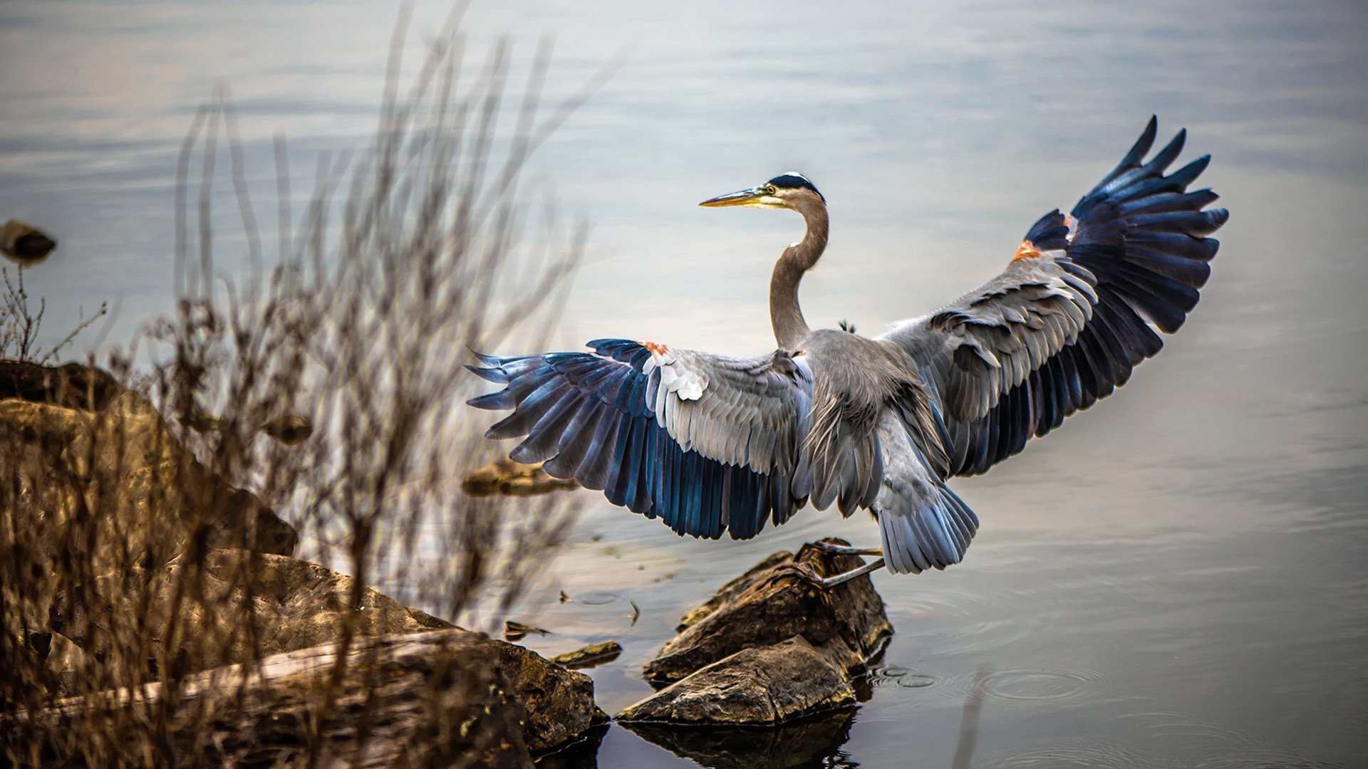 开云·体育全站登录地址-半场阵地战节奏慢是否更利于掩护执行，半场攻防