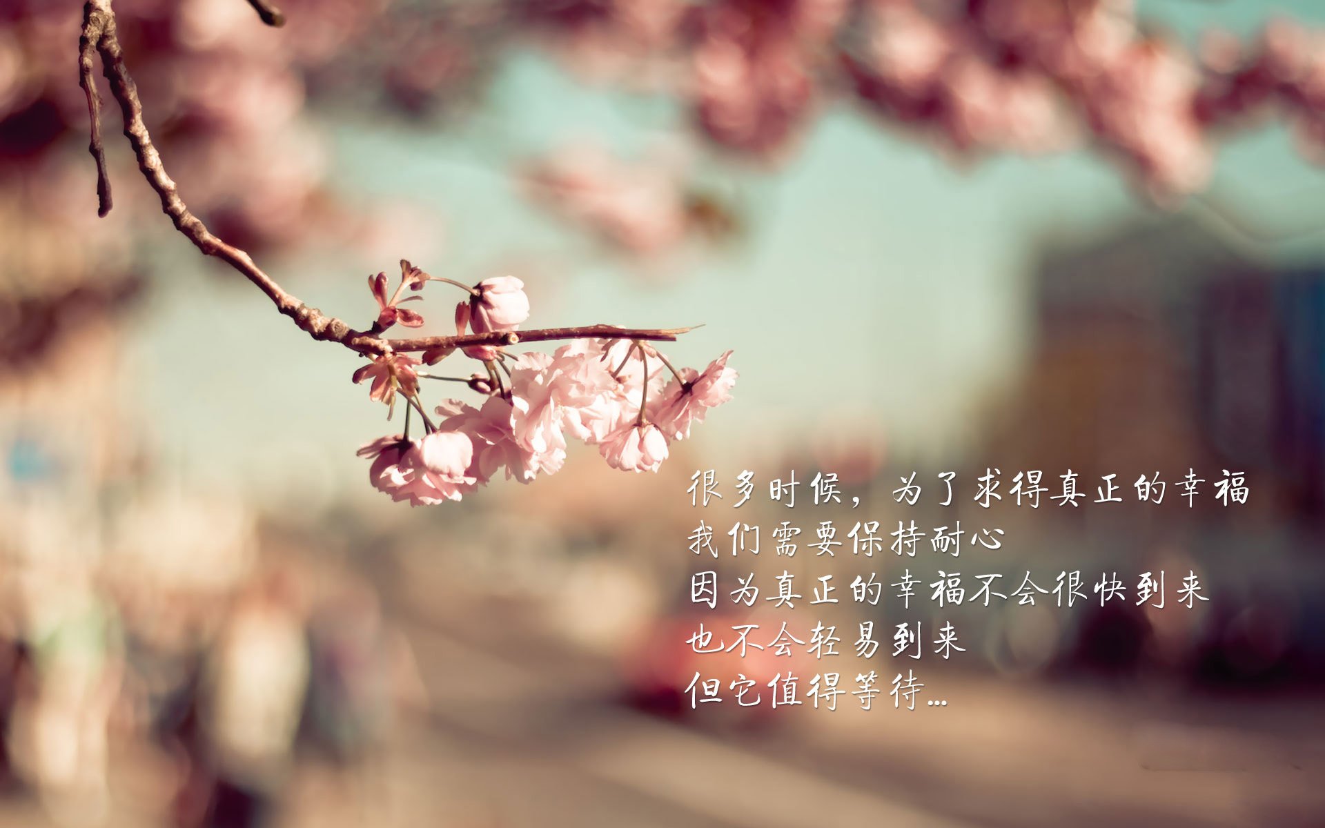 kaiyun体育综合-加拿大队未来发展的关键：加强国际赛事中的应变能力，加拿大战队