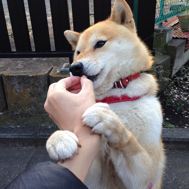 开云·体育官网APP下载-尤文图斯坚持传控体系保持领先优势，尤文图斯管理层人员