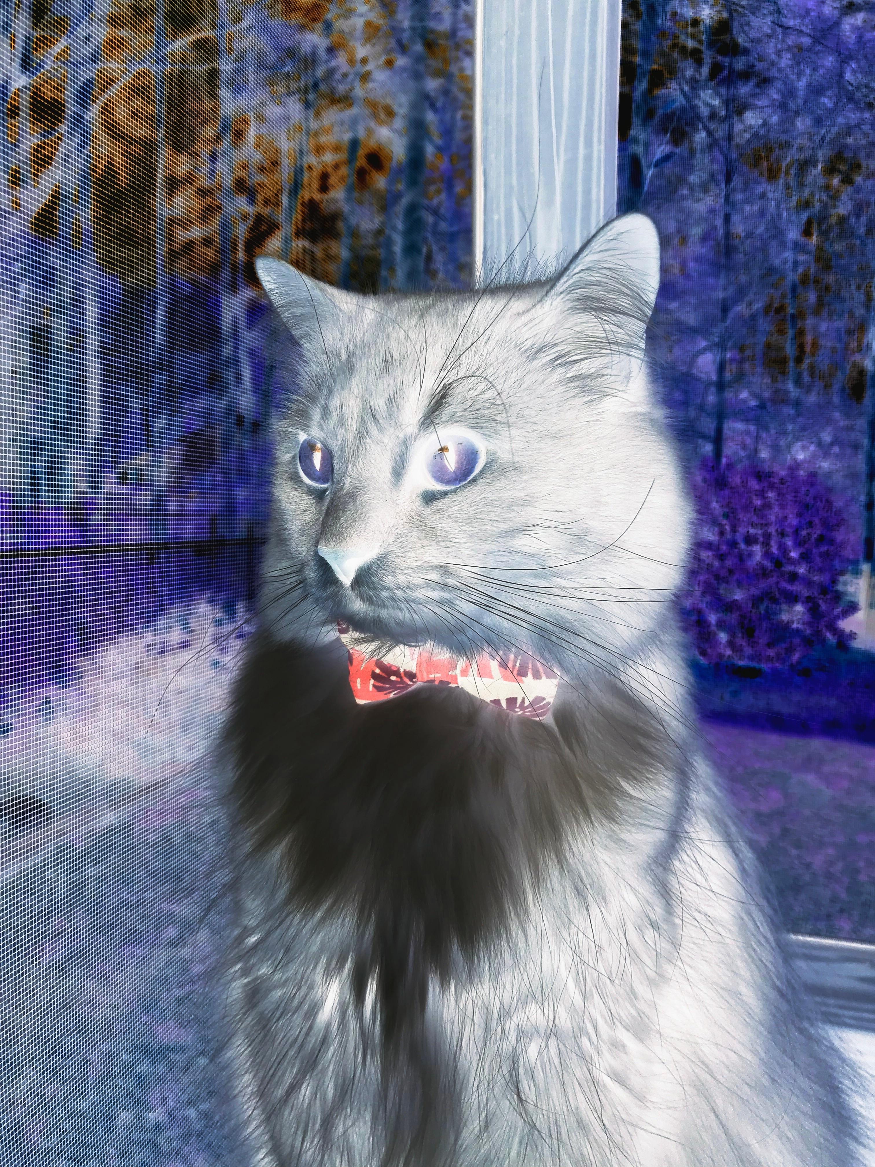 足球政策变化频繁导致行业预期混乱，国家关于足球改革政策