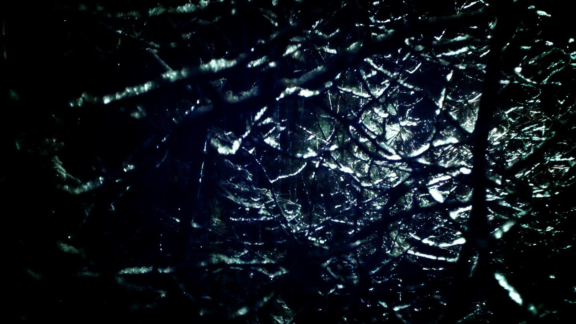 开云平台-中国女子接力队表现稳定夺铜无悬念，中国女子接力队都有谁