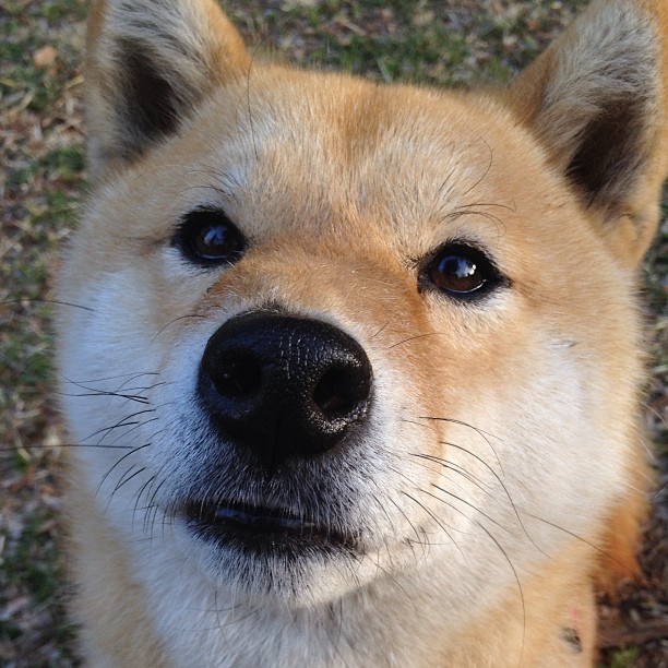 开云网页版-体育科技改变训练方式，体育科技改变训练方式的例子