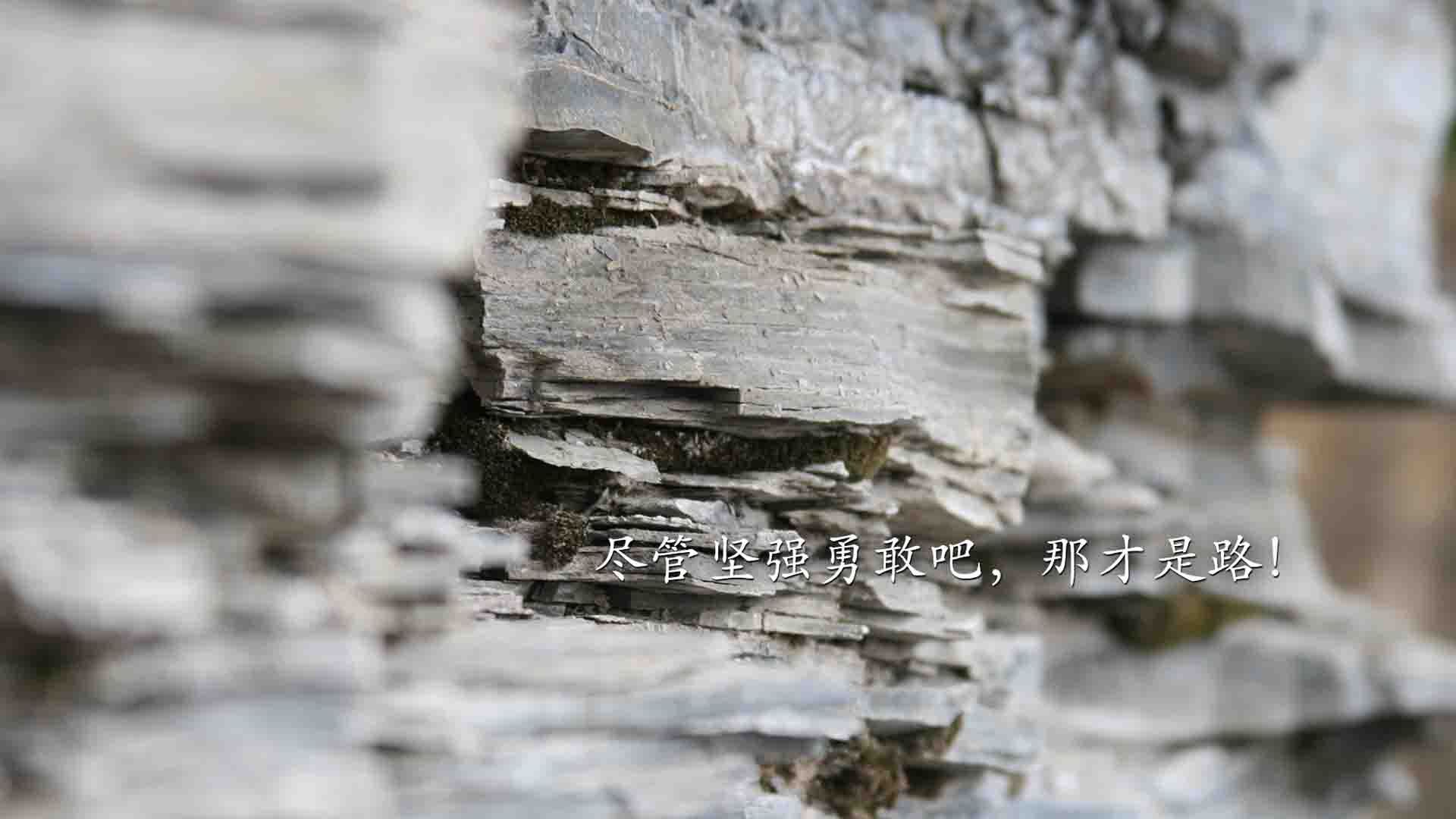 开云·体育全站登录地址-半决赛状态稳定，多人保持节奏，半决赛什么意思