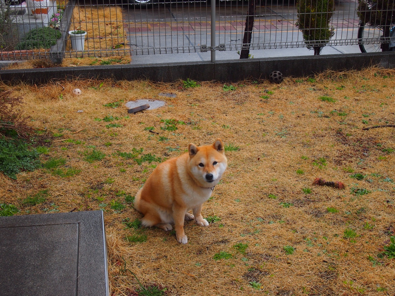 Kaiyun官方登录入口-国家队主帅关注联赛表现动态调整选人策略，国家队主帅工资