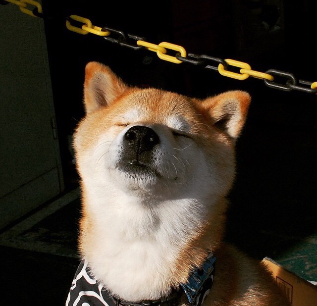 开云体育中国官网-帕金斯蝶泳爆发展现新生代力量，帕金斯综合征