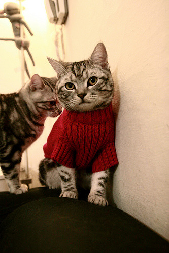 意甲战术创新:变化多端,精彩不断!,意甲队伍