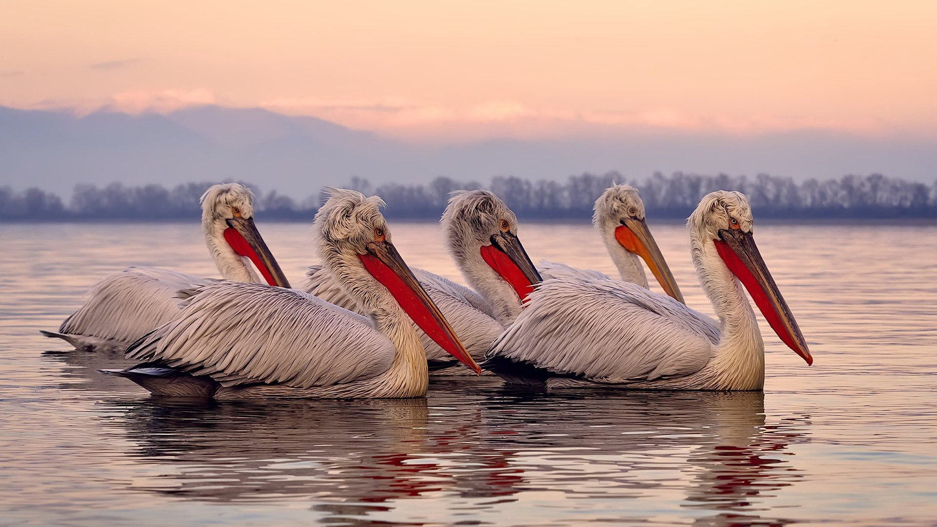 开云全站-意甲经典传射：球星瞬间创造历史时刻，意甲传统强队