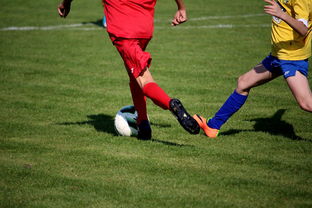 开云首页登录-特色足球文化在国际博览会中亮相，展示国家软实力，世界足球文化