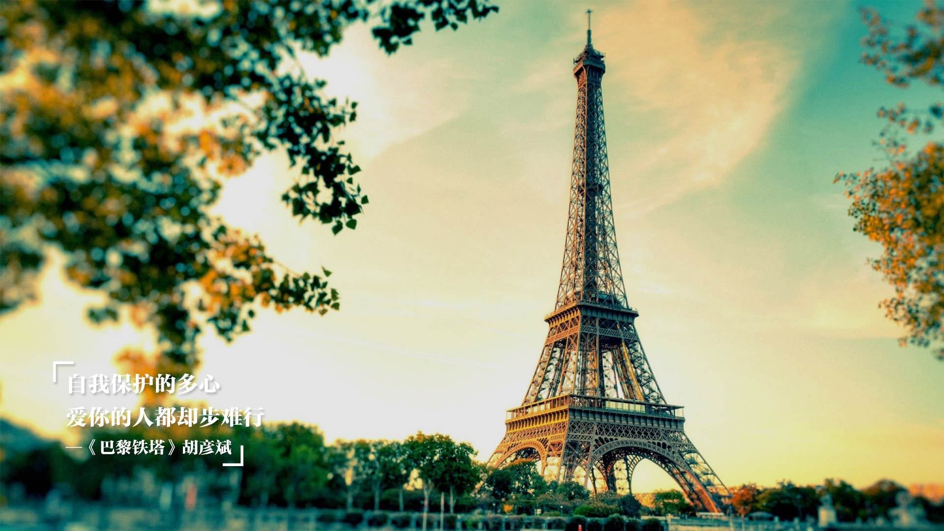 开云·Kaiyun网页版-跳水动作优雅精准摩纳哥获赞，跳水魔鬼训练