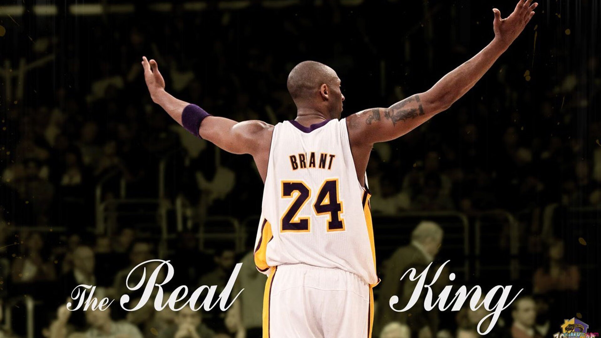 英超新赛季展望：新星崭露头角，老牌劲旅拼搏，英超新赛季足球